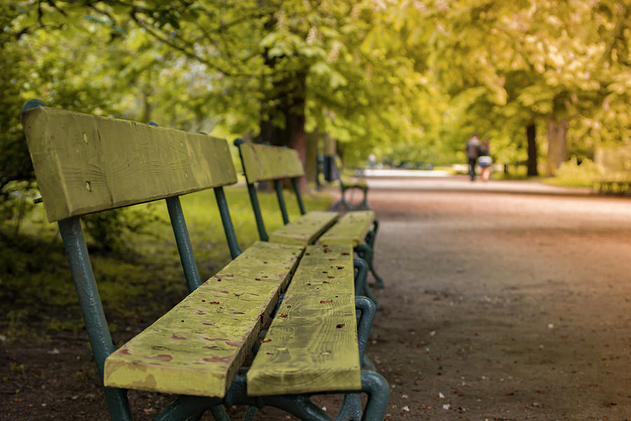 Empty Bench Colorful Autumn Scene Ujazdowski Park Warsaw Poland Photograph By Robert Pastryk