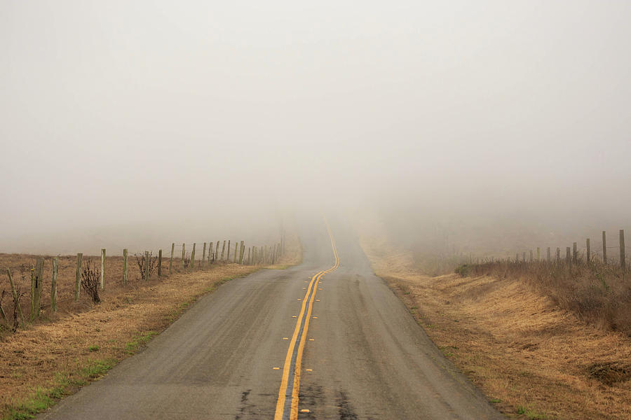 Empty Country Road Disappears Into Thick Fog Photograph By Osaze Cuomo 