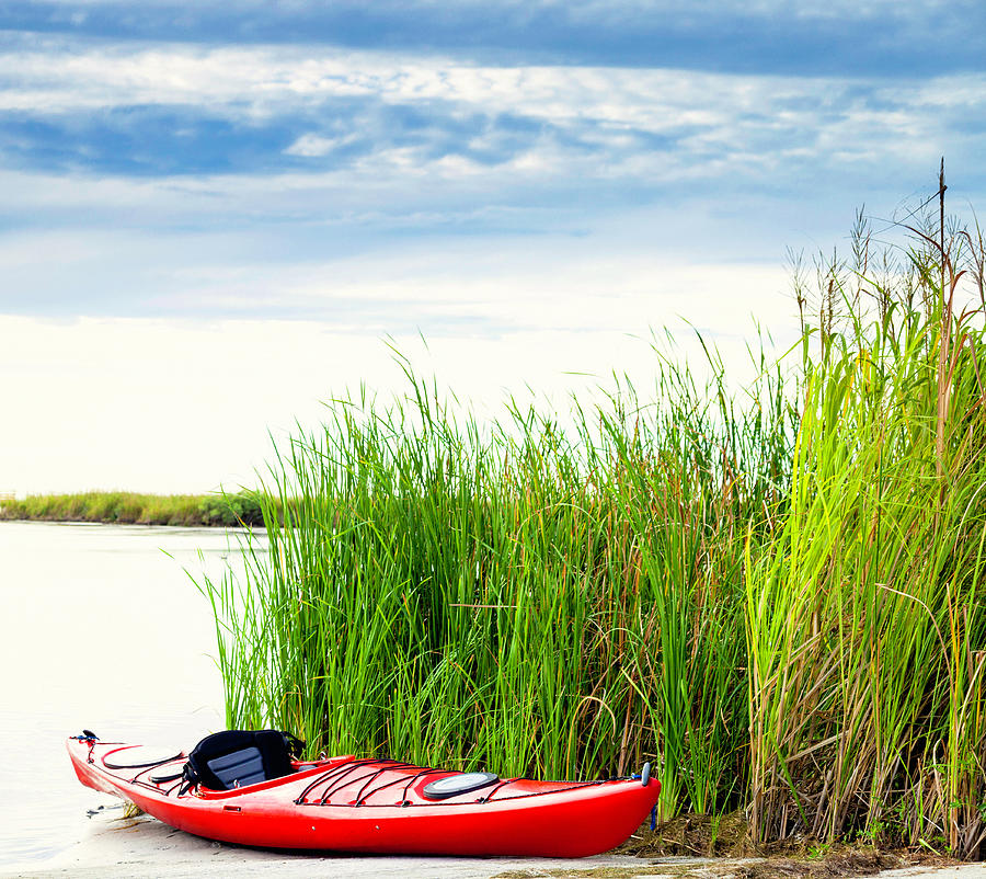 Empty Kayak Resting In Reeds Photograph by Catlane