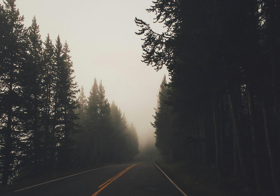 Empty Road Amidst Silhouette Trees In Forest During Foggy Weather ...