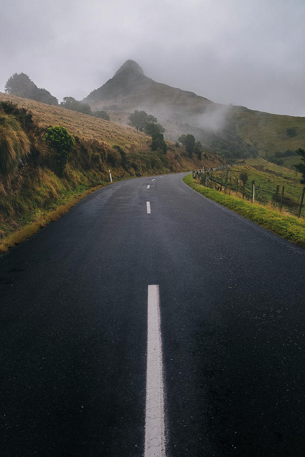 Tree Photograph - Empty Road Into The Mountains Of Banks Peninsula, New Zealand by Cavan Images