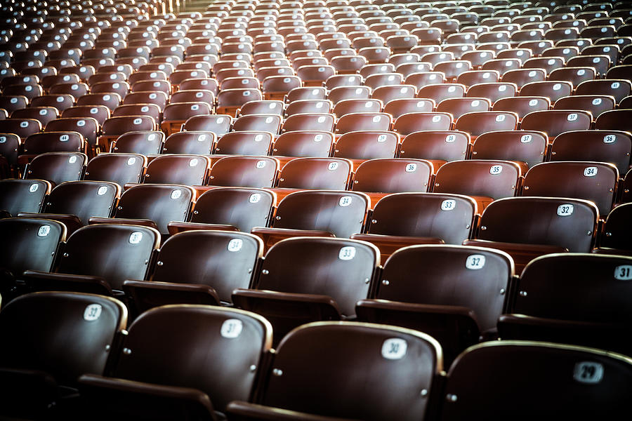 Empty Stadium Seats Photograph by Momo Productions