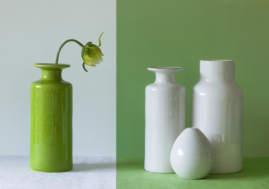 Flower Photograph - Empty Vases by Jacqueline Hammer