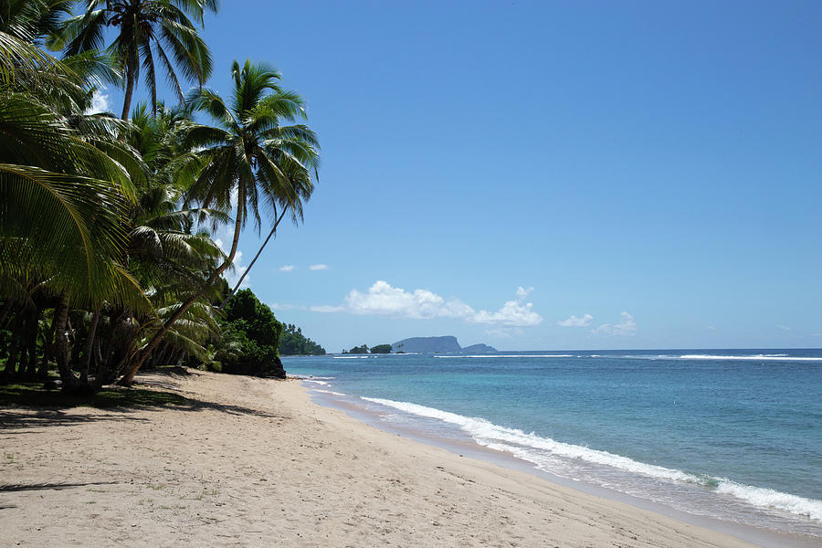 Holiday Photograph - Empty Wide Sandy Beach, With Leaning Palm Trees, Samoa, South Pacific by Cavan Images
