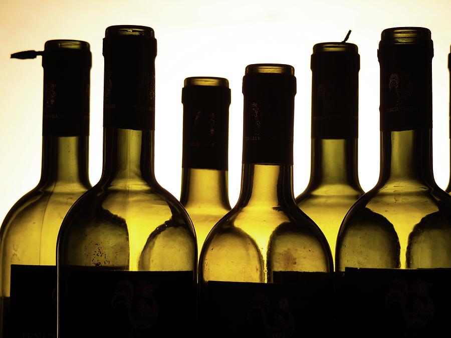 Empty Wine Bottles Lined Up Photograph By Miguel De Zavala Matteini Fine Art America 