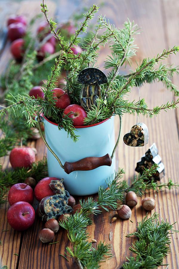 Enamel Pot Filled With Larch Twigs, Apples & Bird Food Photograph by Martina Schindler