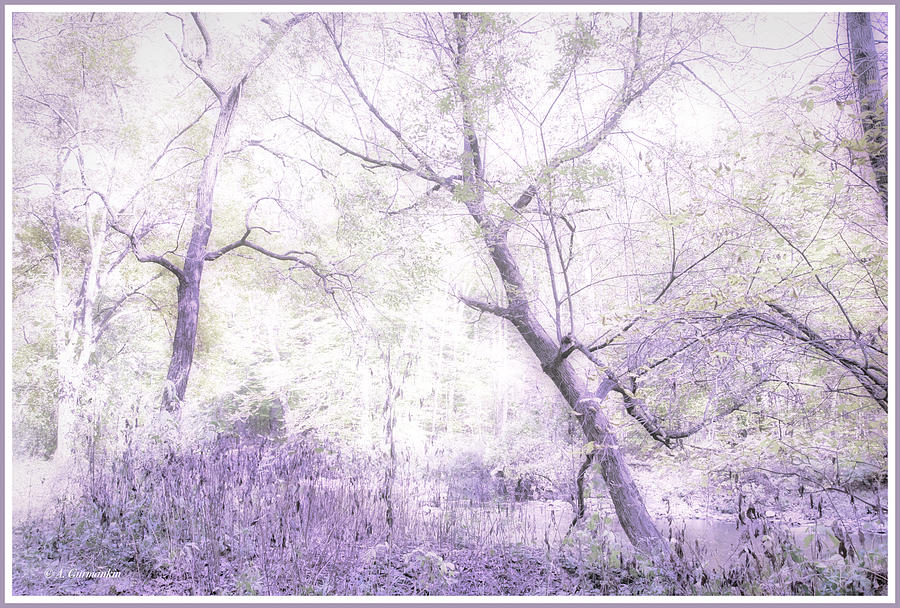 Enchanted Forest, Fantasy Scenic Digital Art by A Macarthur Gurmankin