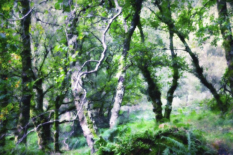 Tree Photograph - Enchanted Forest. The Kingdom of theTrees. Glendalough. Ireland by Jenny Rainbow