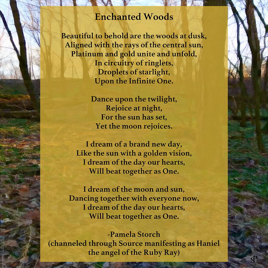 Tree Digital Art - Enchanted Woods Poem by Pamela Storch