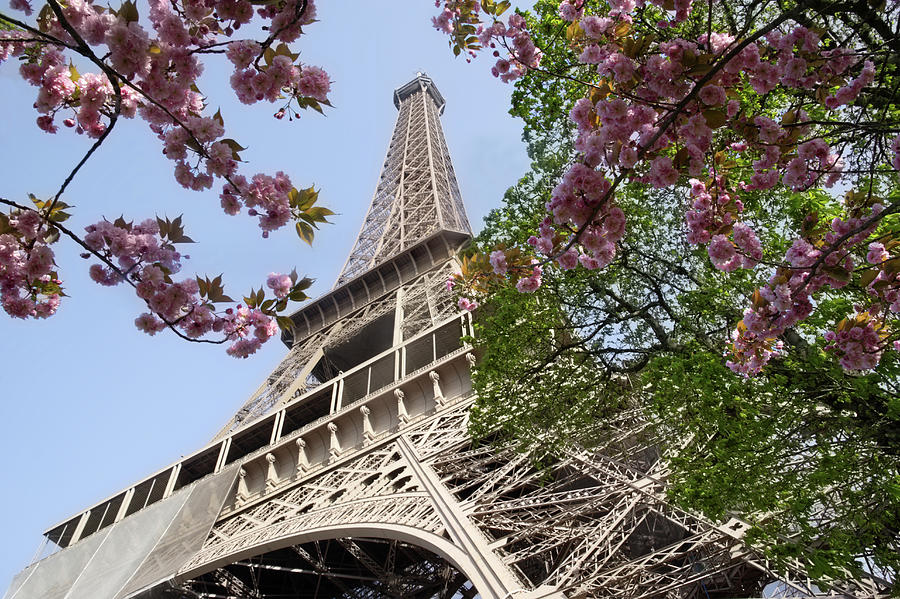 Enchanting Paris In The Springtime Photograph by Rosemary Calvert