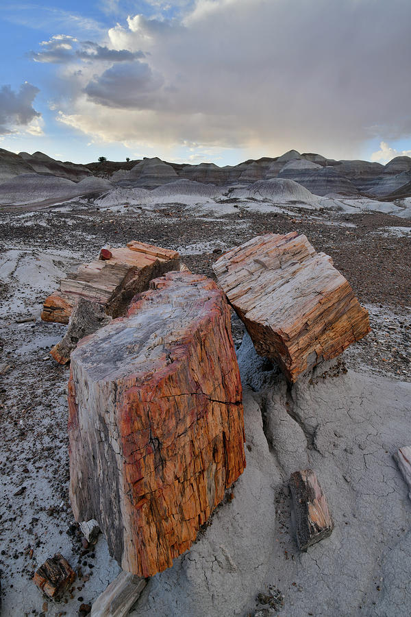 End of the Day in Petrified Forest NP Photograph by Ray Mathis