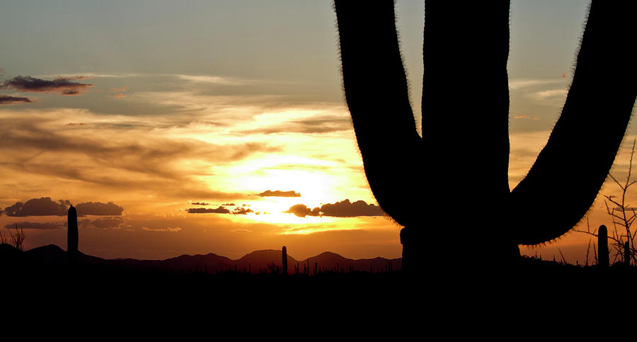 End of the Day in the Desert Photograph by Robert Woodward