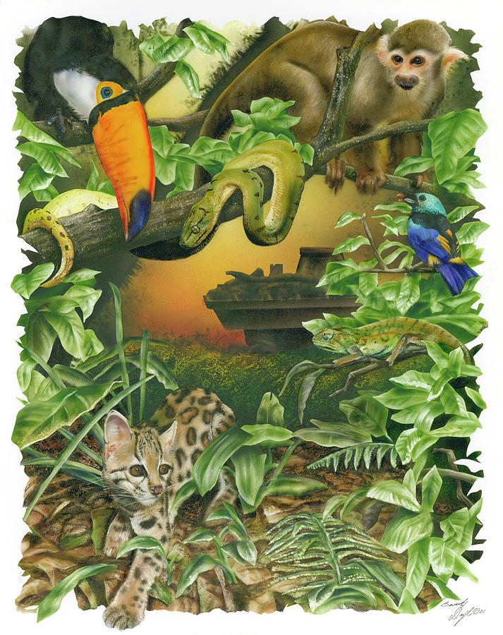 Endangered Rainforest Painting by Beverly Doyle Endangered Rainforest Painting by Beverly Doyle