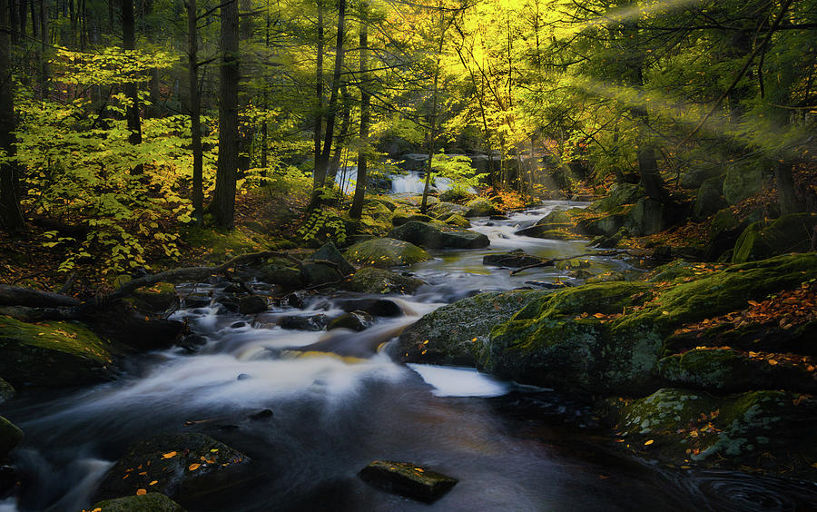 Fall Photograph - Ender Falls Sunbeams by Jerry Fornarotto
