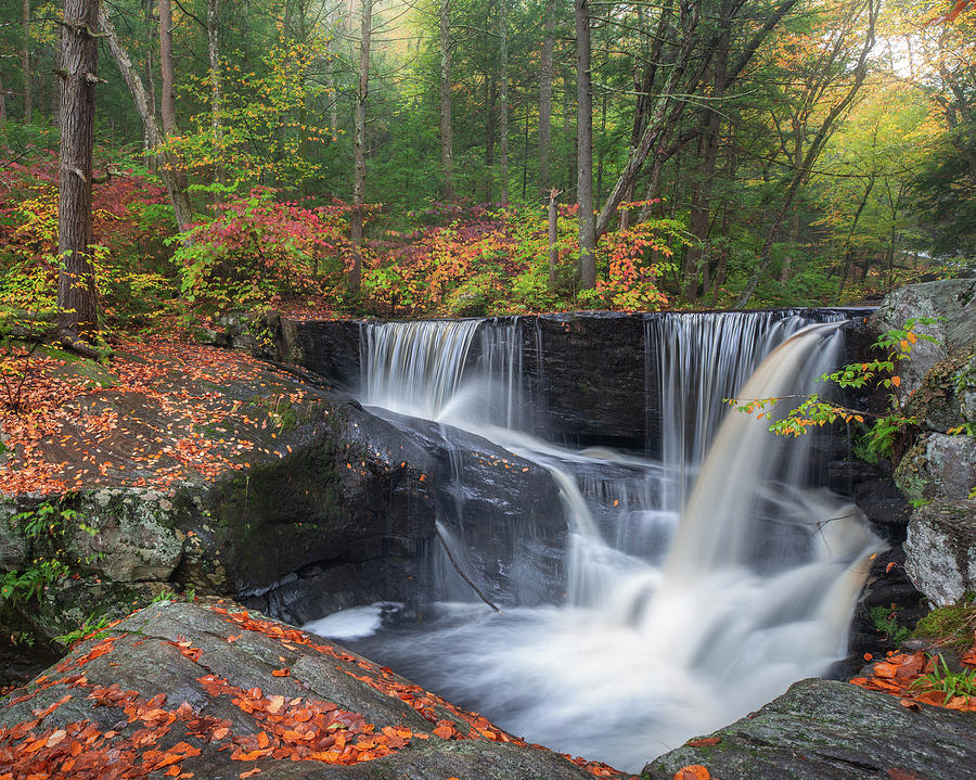 Enders Falls Autumn 2 Photograph by Bill Wakeley