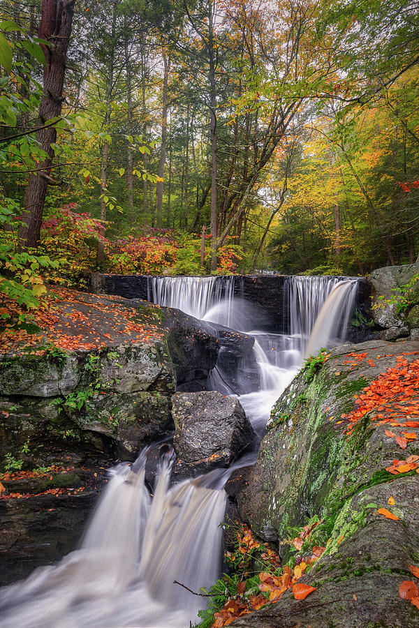 Enders Falls Autumn 2018 Photograph by Bill Wakeley