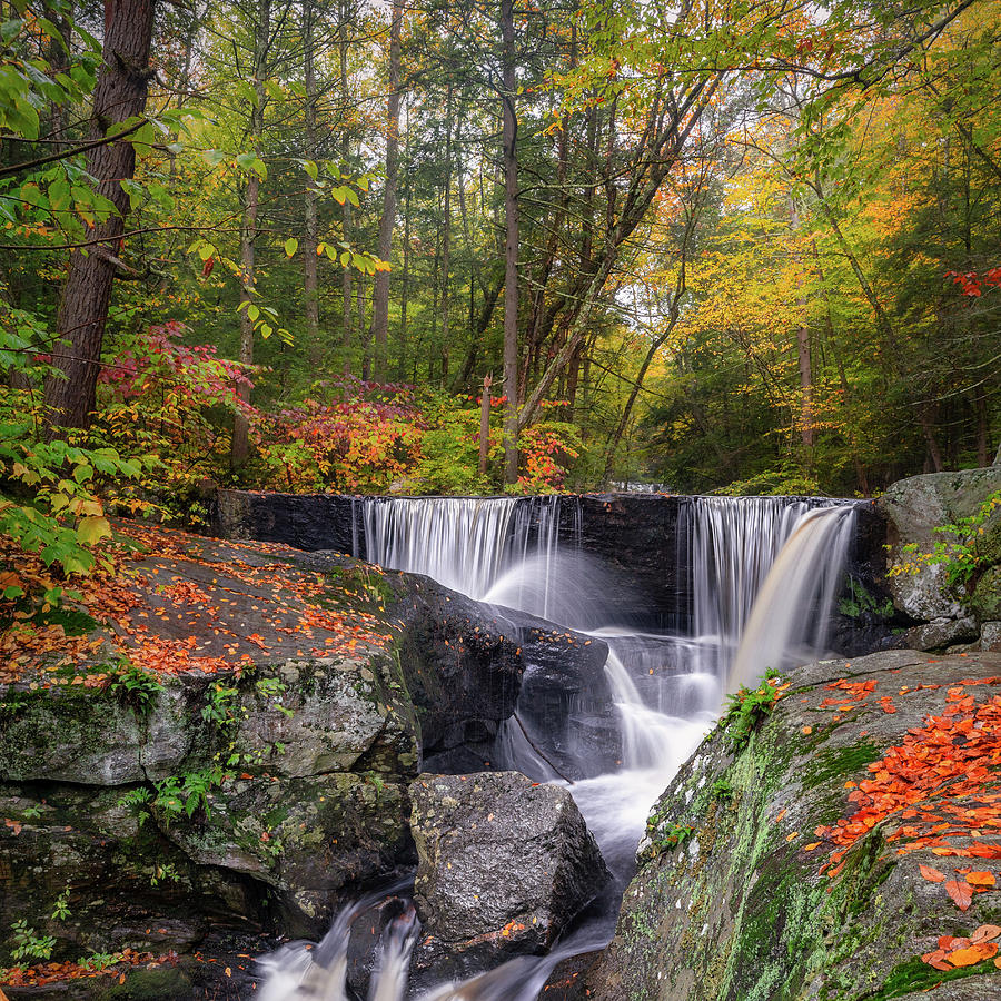 Enders Falls Autumn 2018 square Photograph by Bill Wakeley