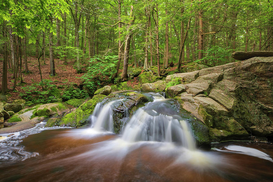 Enders State Forest Falls Photograph by Juergen Roth