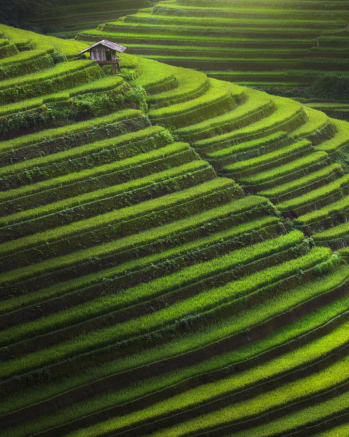 Endless Layers Photograph by Mahendra Bakle