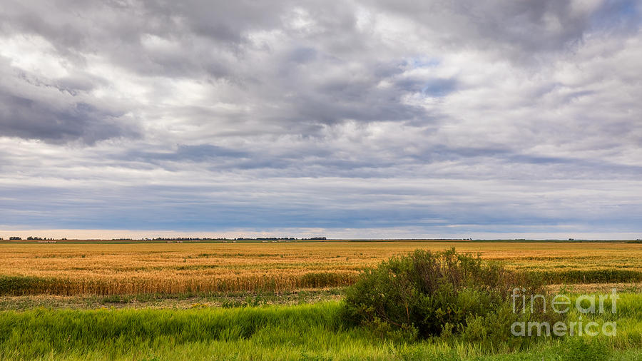 Endless Prairie Skies Photograph by Alma Danison