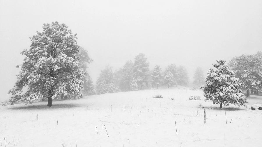 Endless Winter Photograph by Dan Miller