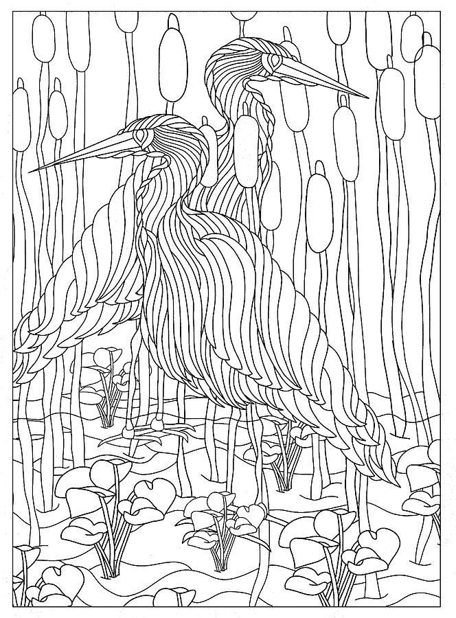 Bird Drawing - Energizing Egrets by Kathy G. Ahrens