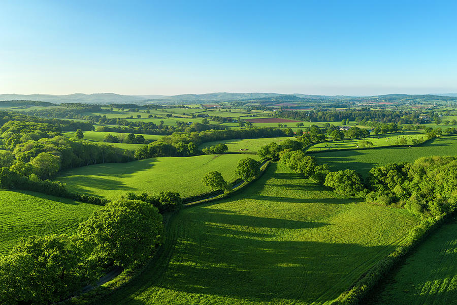 England, Devon, Great Britain, British Isles, Aerial View Green Landscape Near Exeter Digital Art by Sebastian Wasek