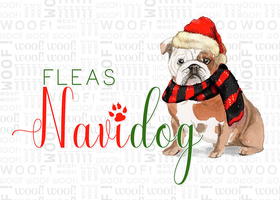 English Bulldog Funny Fleas Navidog Christmas  Digital Art by Doreen Erhardt