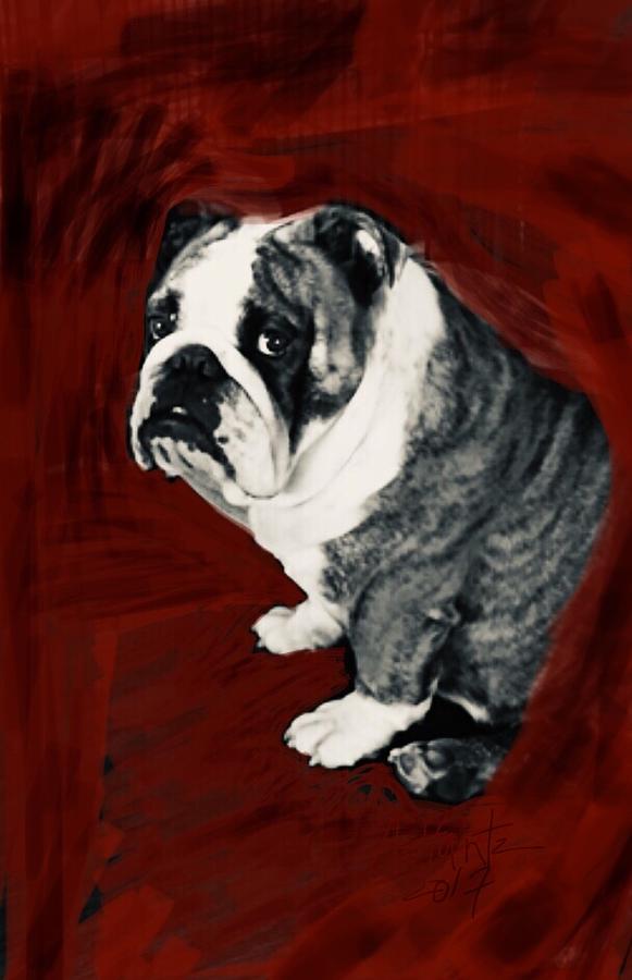 English Bulldog Gus, Sad Face Photograph by Adrienne Hantz Kelley ...