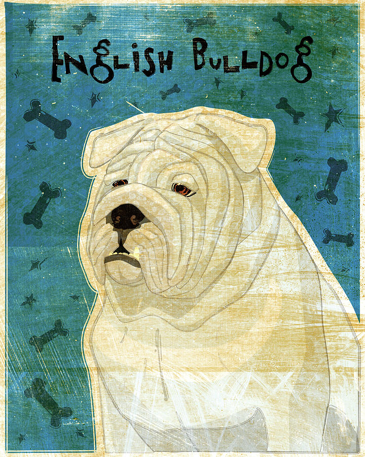 Animal Digital Art - English Bulldog by John W. Golden