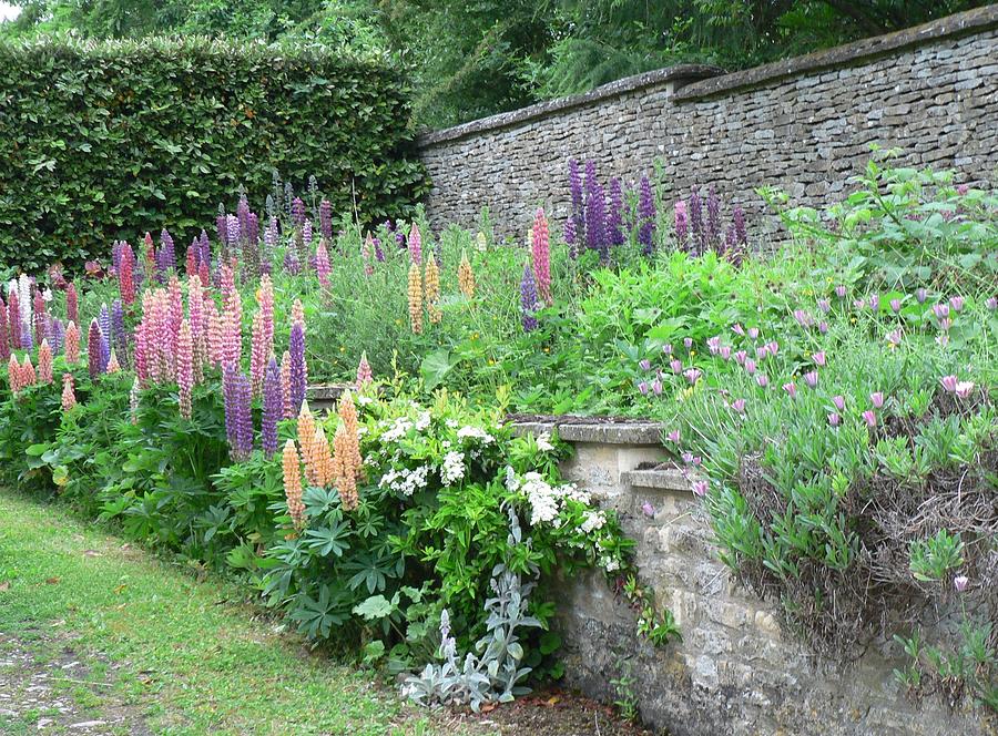 English Cottage Garden Photograph By Lynne Iddon