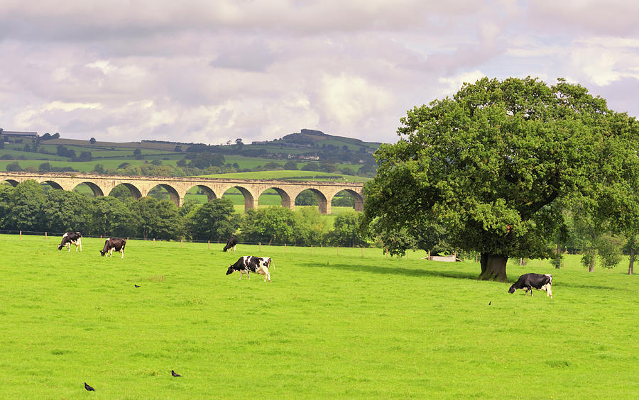 English Countryside Scenic In Yorkshire Photograph by Ekspansio
