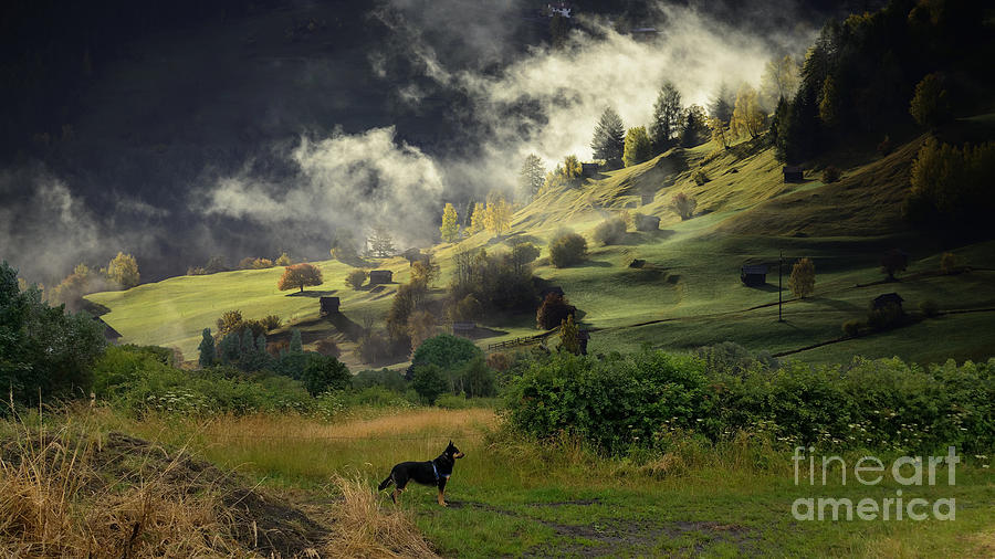 English Countryside Digital Art by Kathy Kelly