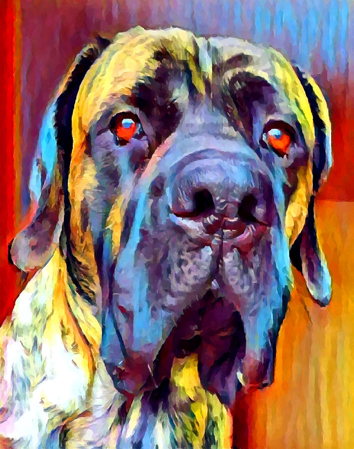 English Mastiff 2 Painting by Chris Butler