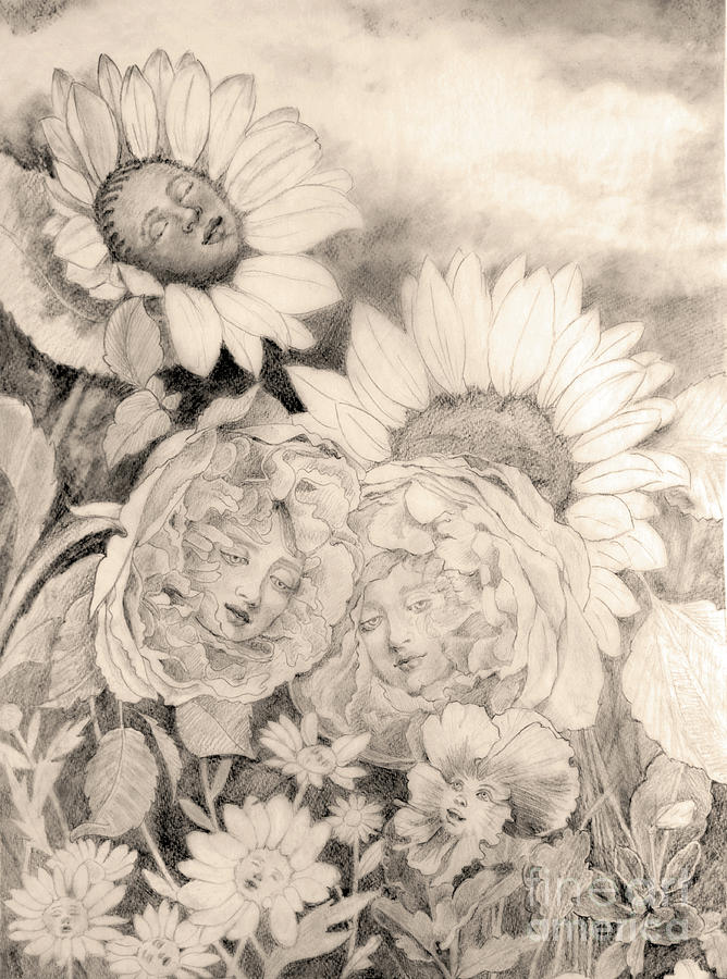 English Roses African Sunflower Drawing by Kathryn Donatelli