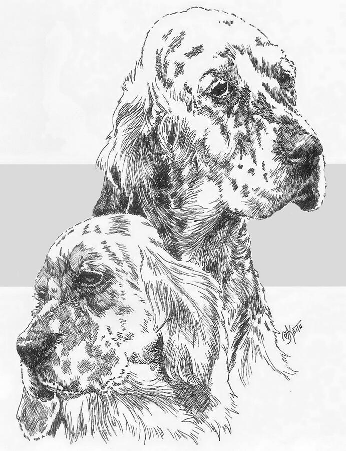 English Setter and Pup Drawing by Barbara Keith