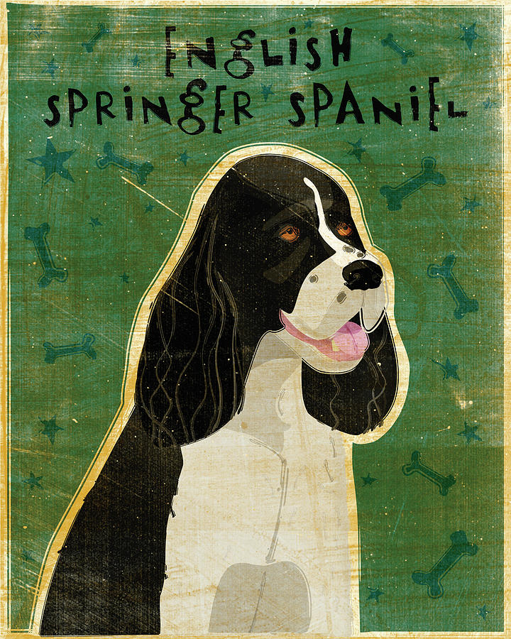 Animal Digital Art - English Springer Spaniel (black And White) by John W. Golden