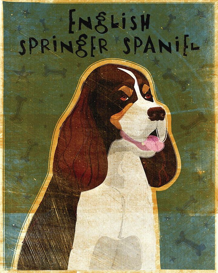 Animal Digital Art - English Springer Spaniel (tri-color) by John W. Golden