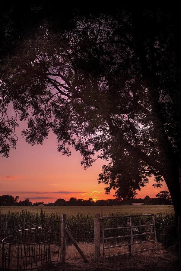 English sunset Photograph by Cara Mia Petersen Fine Art America