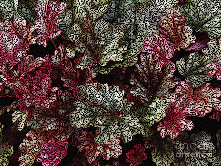 Nature Photograph - Engraved Foliage   by Sarah Loft