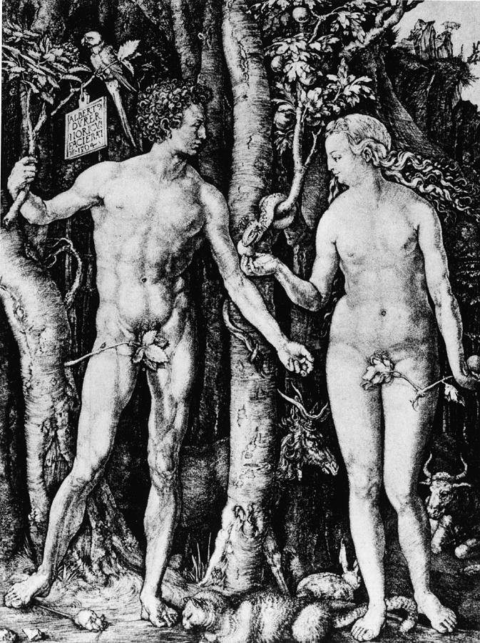 Engraving Of Adam And Eve Photograph by Hulton Archive