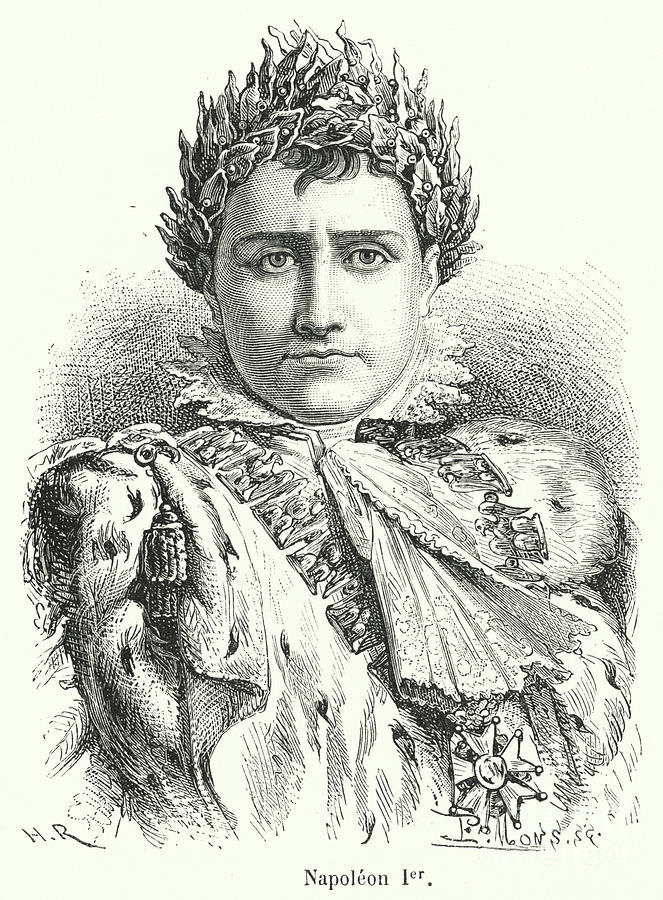 Engraving Of Napoleon Drawing by French School Pixels