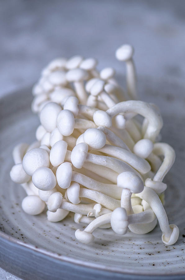 Enoki Mushrooms Photograph by Gorobina