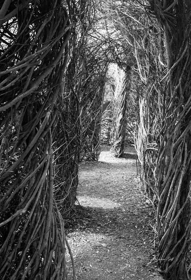 Black And White Photograph - Enter Carefully by Suzanne Gaff