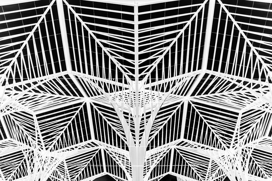 Abstract Photograph - Enter The Web by Linda Wride Abstract Photograph - Enter The Web by Linda Wride