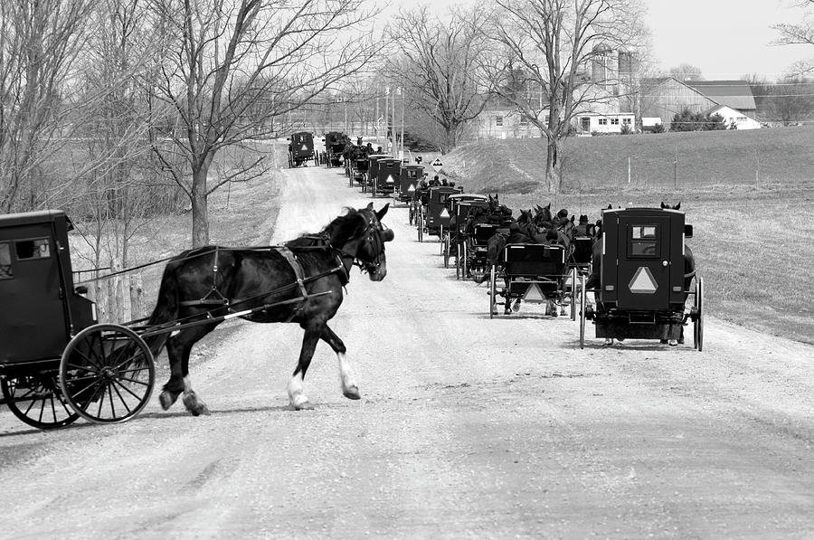 Entering The Mennonite Line On Road Photograph by Gail Shotlander