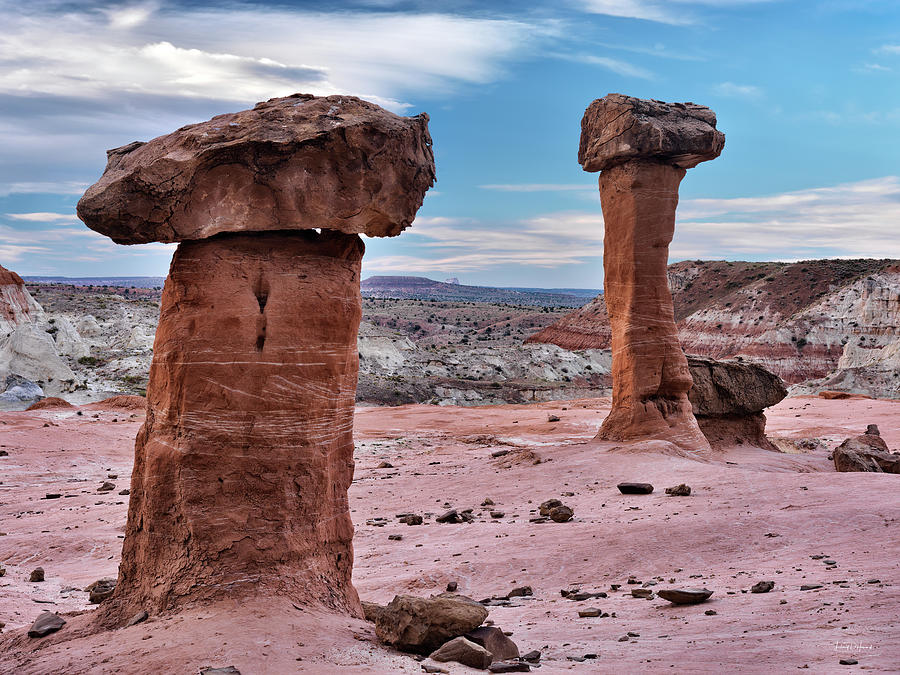 Entrada Sandstone Formations Photograph by Leland D Howard