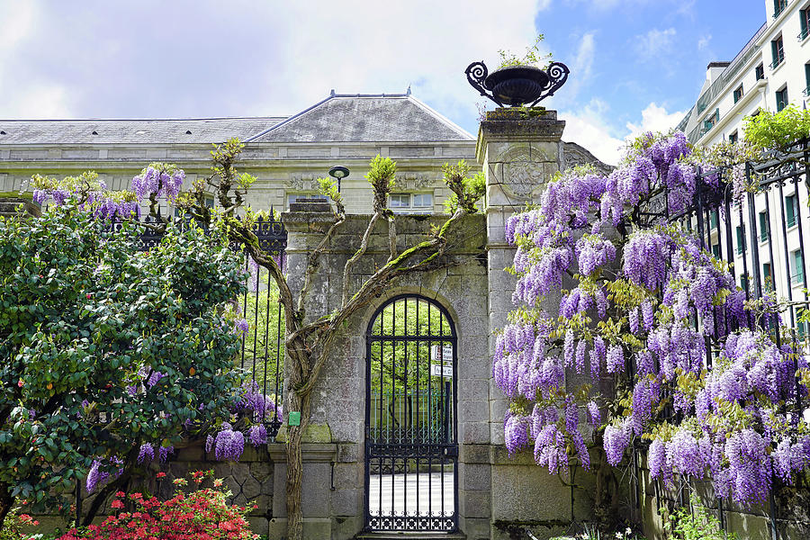 Entrance Into The Jardin Des Plantes In Nantes France  Photograph by Rick Rosenshein