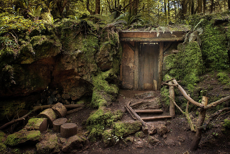 Entrance To Mysterious Hidden Wood Building In Forest Digital Art By