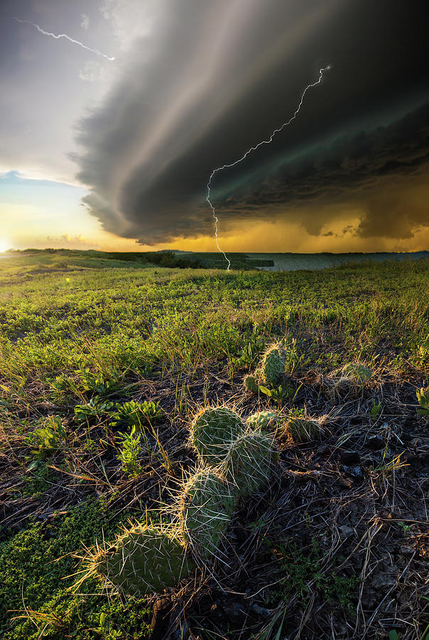 Entropy by Aaron J Groen Entropy by Aaron J Groen